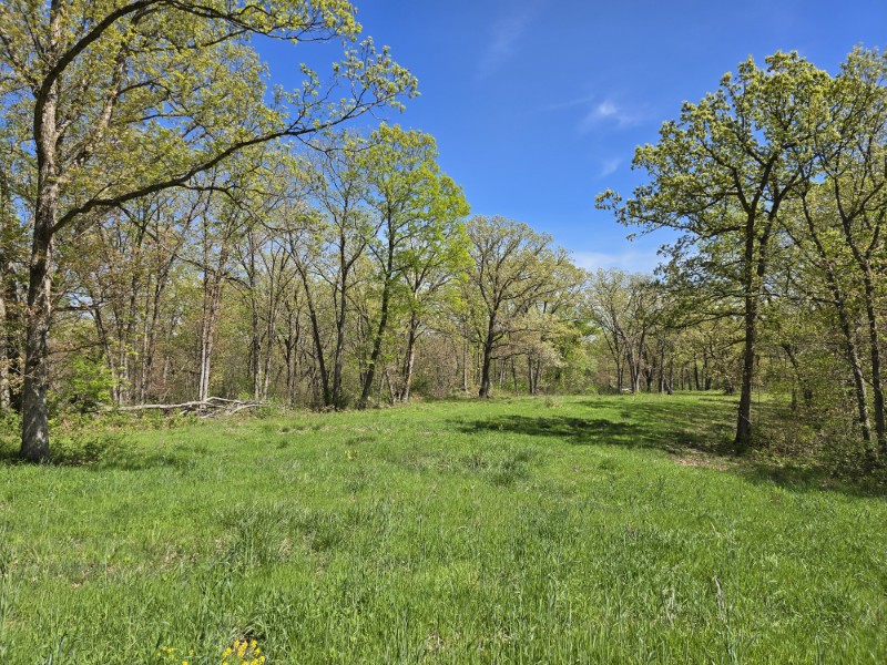 Listing photo 47